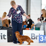 National Dog Show - 12.04.2025