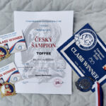 National Dog Show - 12.04.2025