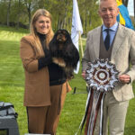 Klubowa Wystawa Cavalier King Charles Spaniel na Litwie - Dwór w Pokewiu