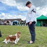 MORFEUSZ IRYSOWY DWÓR - GRAND CHAMPION POLSKI