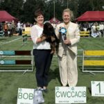 XIX INTERNATIONAL DOG SHOW (CACIB) BIAŁYSTOK
