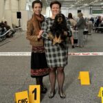 Krajowa Wystawa Psów 9 Grupy FCI Lublin